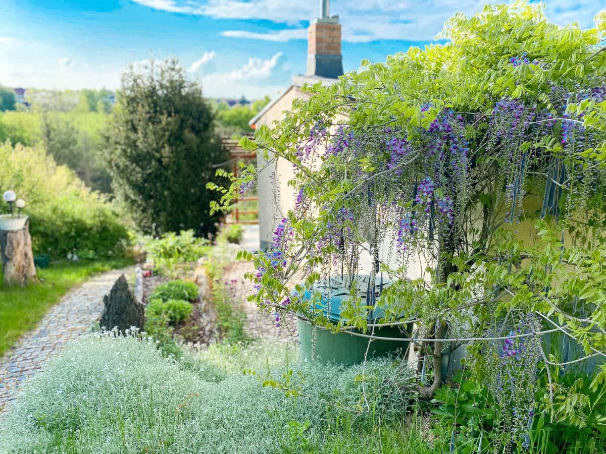 Weinquartier Kalter Huegel Villa Naumburg  Buitenkant foto